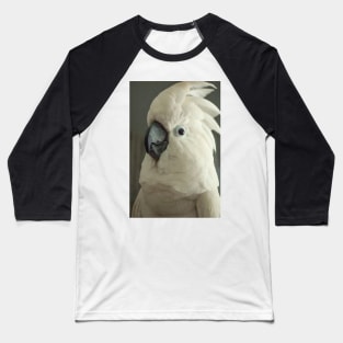 Umbrella cockatoo parrot bird portrait Baseball T-Shirt